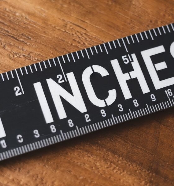 11 inches example