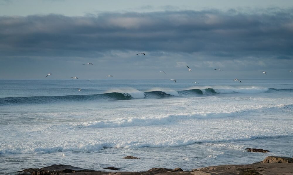 Campus Point surf cam