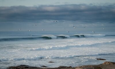 Campus Point surf cam