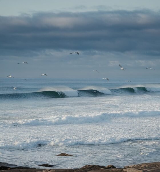 Campus Point surf cam